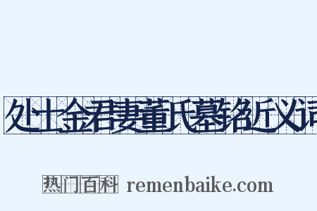 处士金君妻董氏墓铭近义词是什么意思的图片